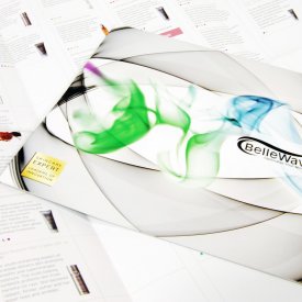 Flyer : Bellewave