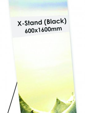 Display Stand X Metal Stand 02