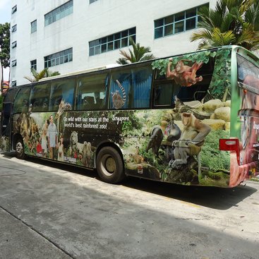 Large Format Vehicle : Singapore Zoo